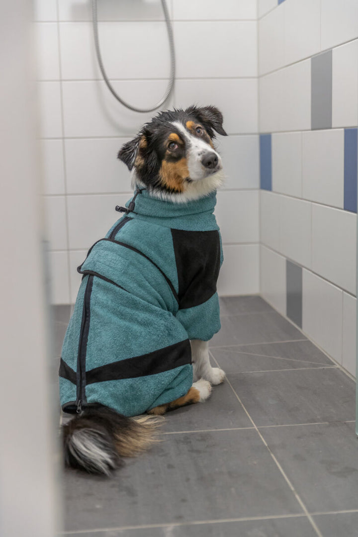 Bathrobe for dogs, terry cloth, petrol
