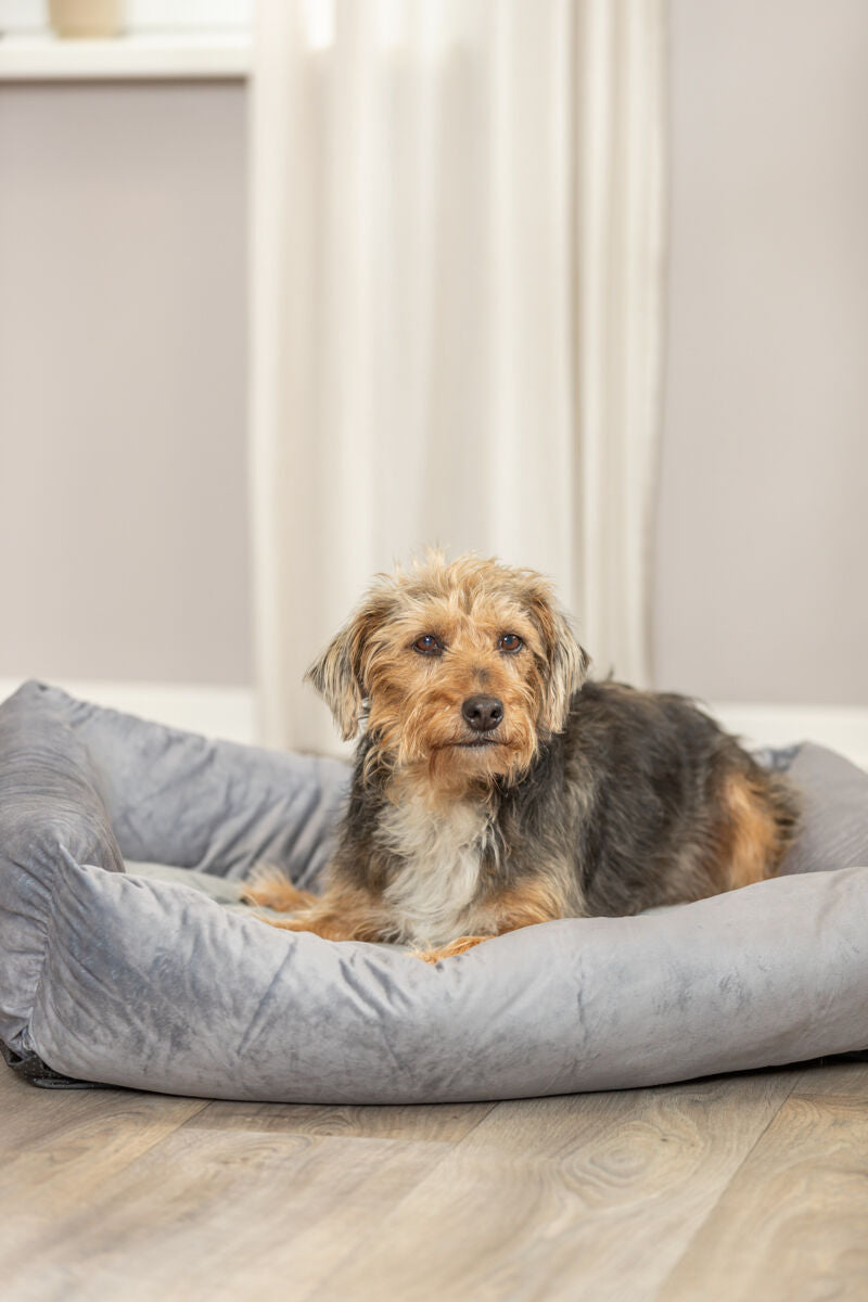 Lionel Bed Grey