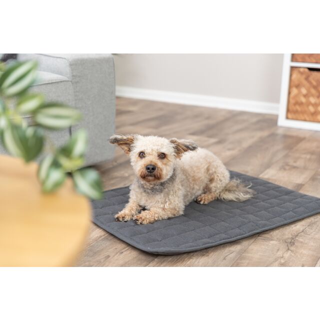 Caliente Lying Mat Square , Dark Grey