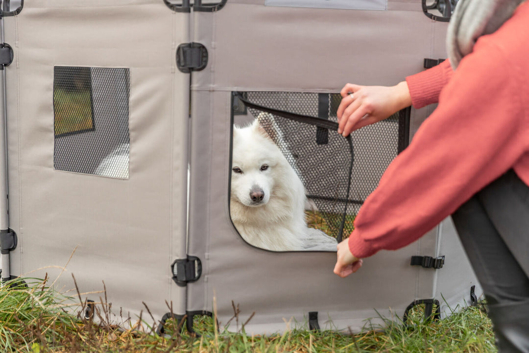39540 Camping fence for dogs