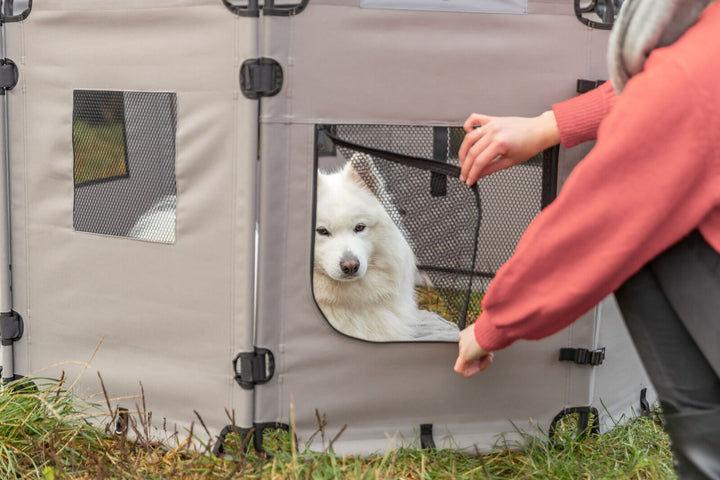 39540 Camping fence for dogs