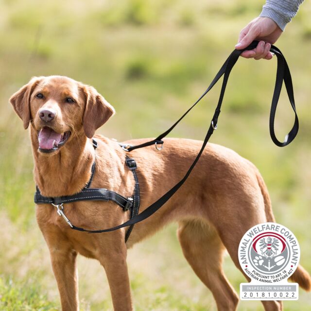 Lead'n'Walk Soft Harness