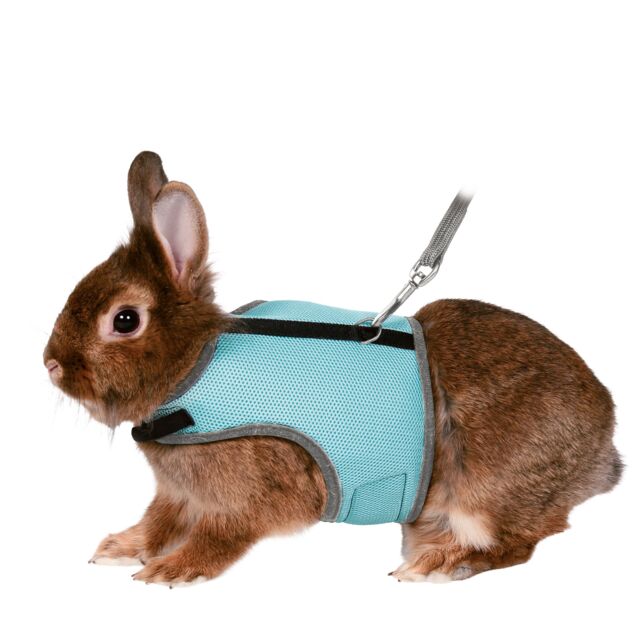 61513 - soft harness with leash