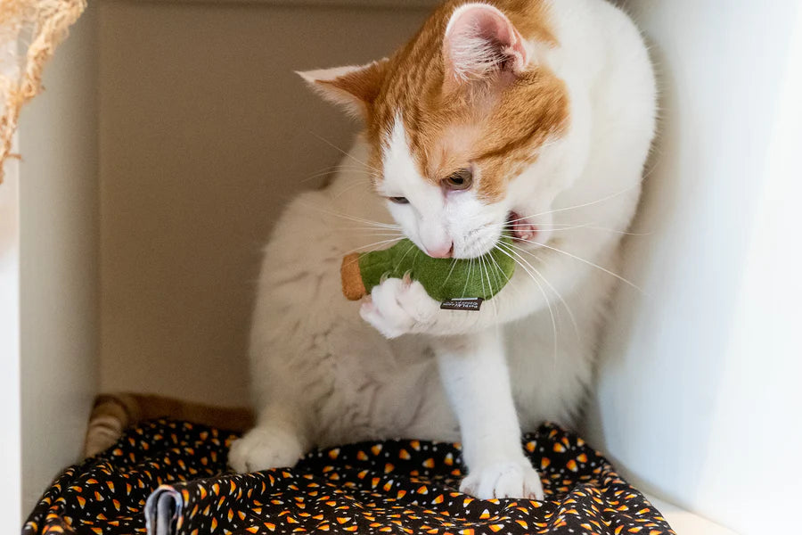 Feline Frenzy Killer Deadly Duo Cat Toy