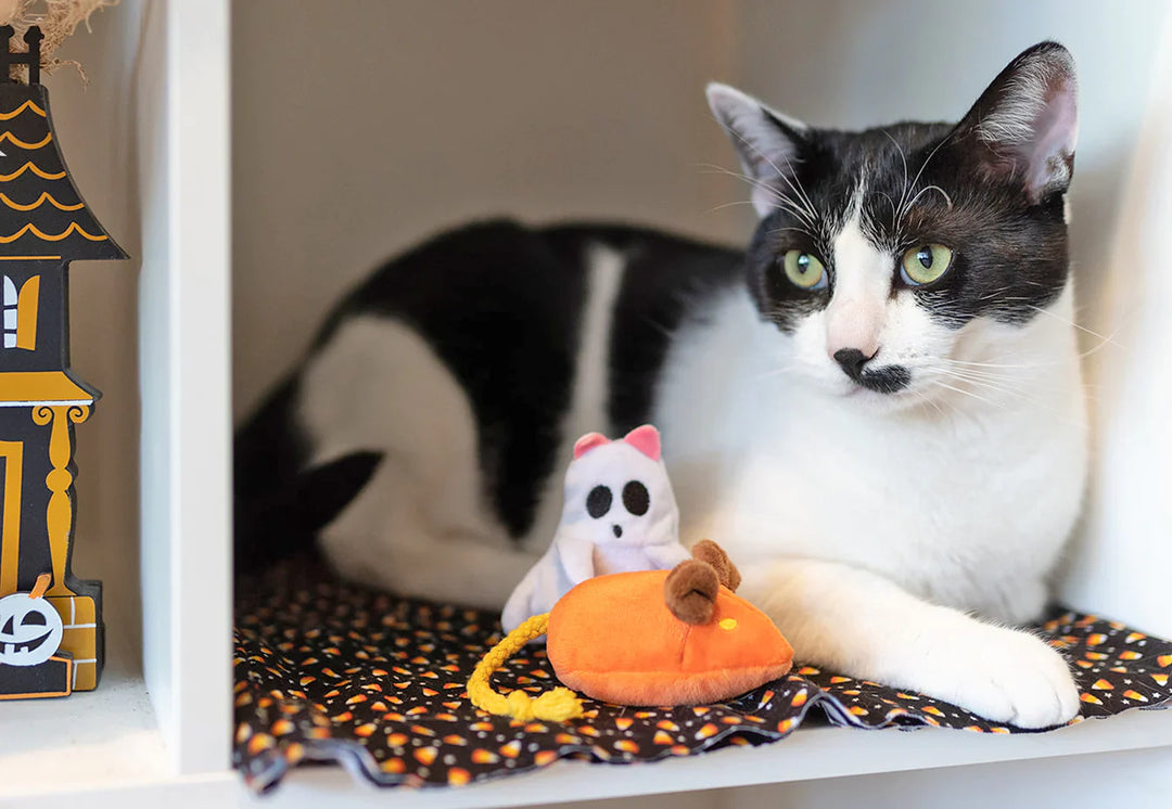 Feline Frenzy Halloween Boo Crew Cat Toy