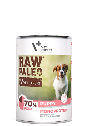Raw Paleo Mono Protein tin 400g - Puppy (Pork)