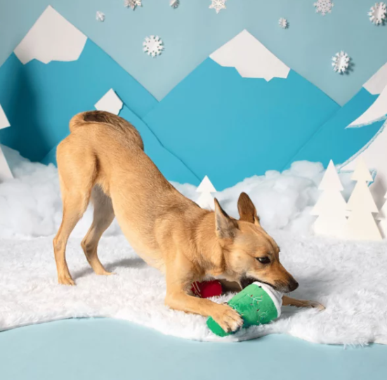 Bark - Fa-la-la-la-Lattes