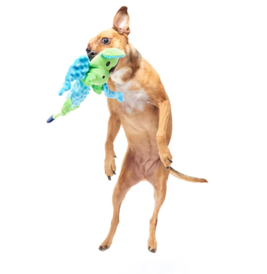 Bark - Humbert the Dragon