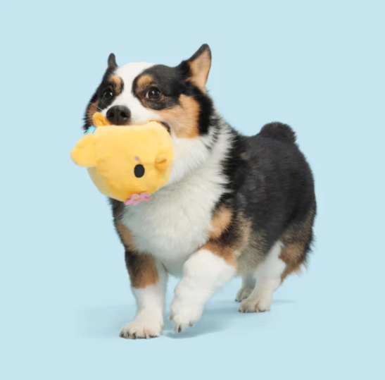 Bark - Lil’ Hennifer