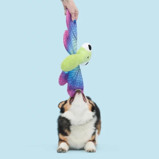 Bark - Dragonfly Guy