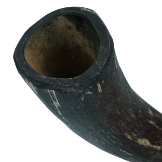 Viking whole Horn
