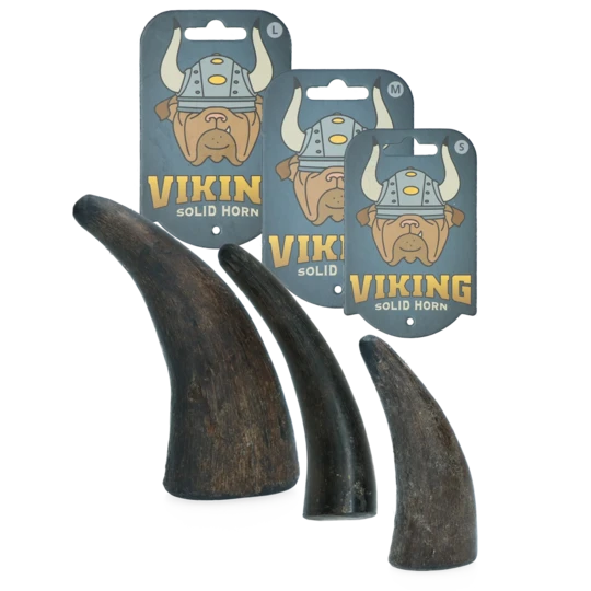 Viking whole Horn - Solid