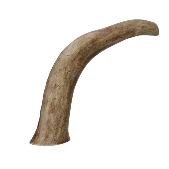 Viking Antler Hard