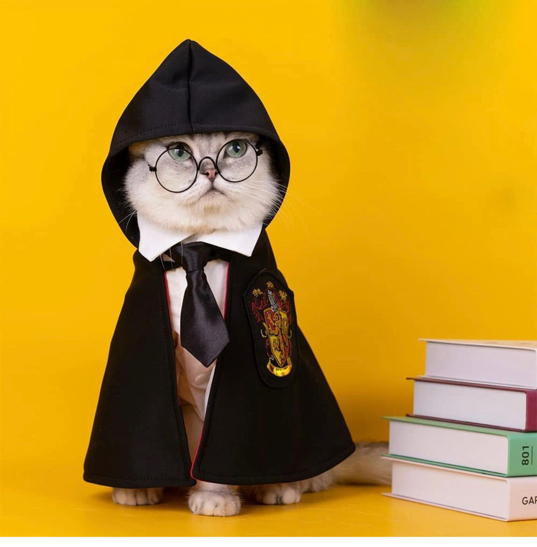 Halloween Harry Potter Cape