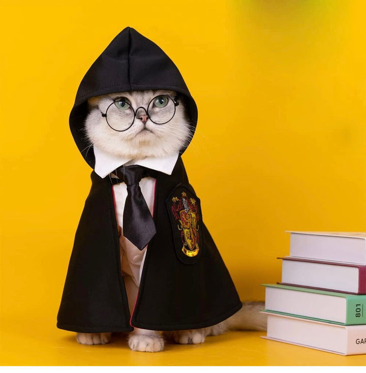 Halloween Harry Potter Cape