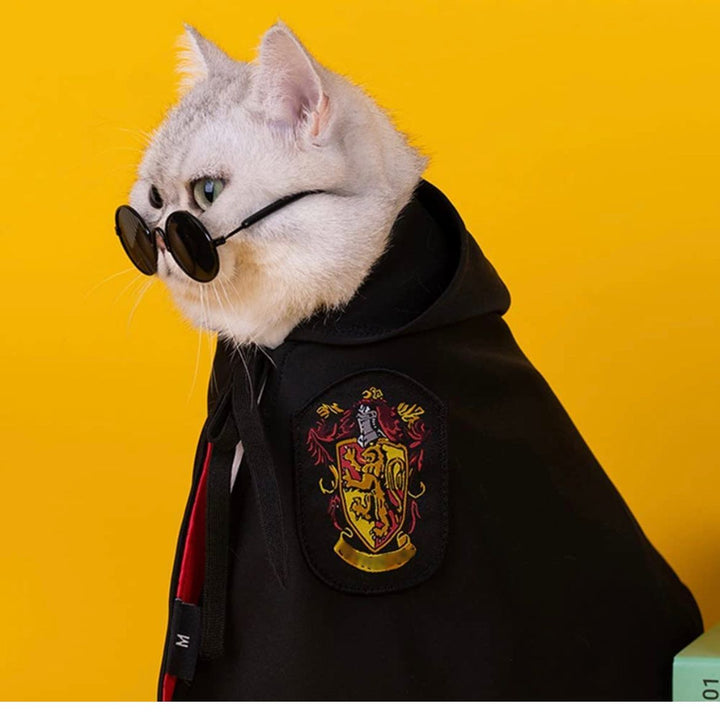 Halloween Harry Potter Cape