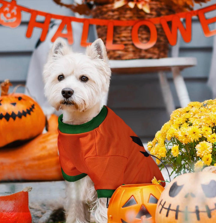 Halloween Orange Pumpkin T-Shirt