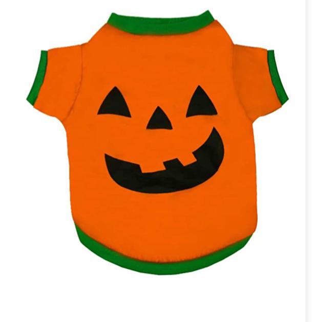 Halloween Orange Pumpkin T-Shirt