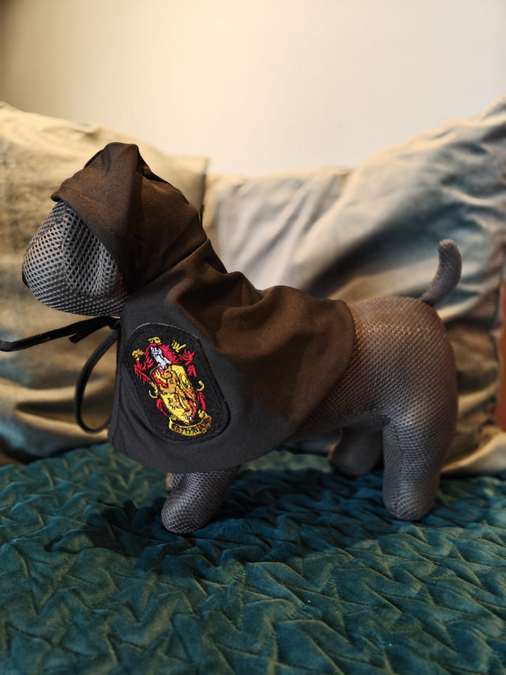 Halloween Harry Potter Cape