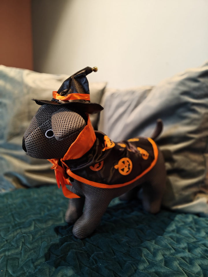 Halloween Hat and Cape set
