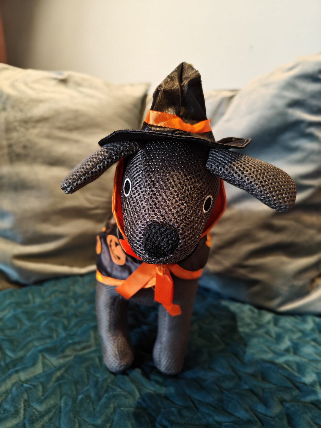 Halloween Hat and Cape set