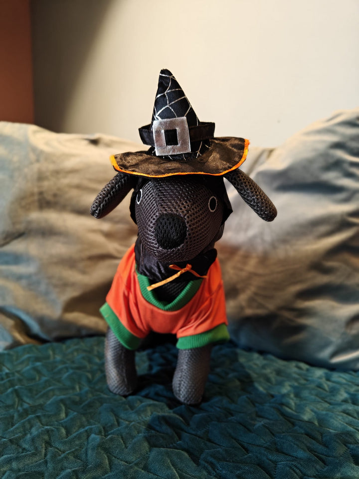 Halloween Witch Hat