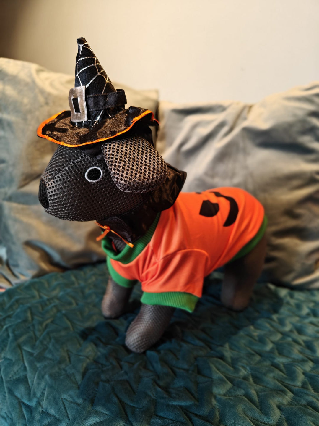Halloween Witch Hat