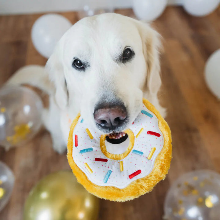Zippy Paws - Donutz Buddies - Birthday