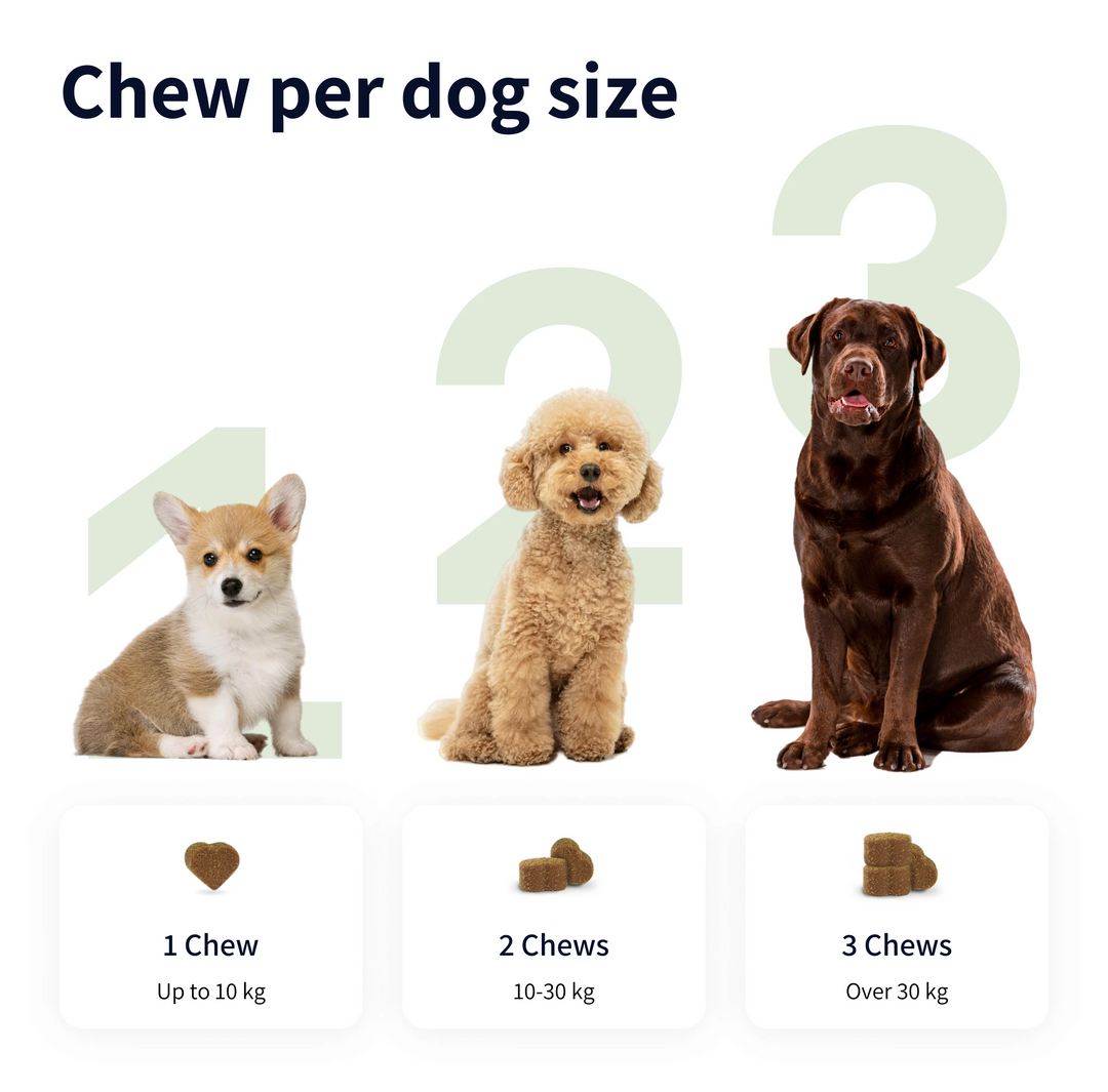 TIPAW Allergy & Itch Supplement for Dogs