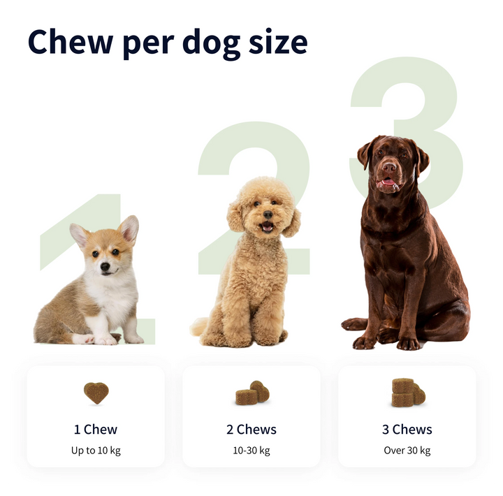 TIPAW Allergy & Itch Supplement for Dogs