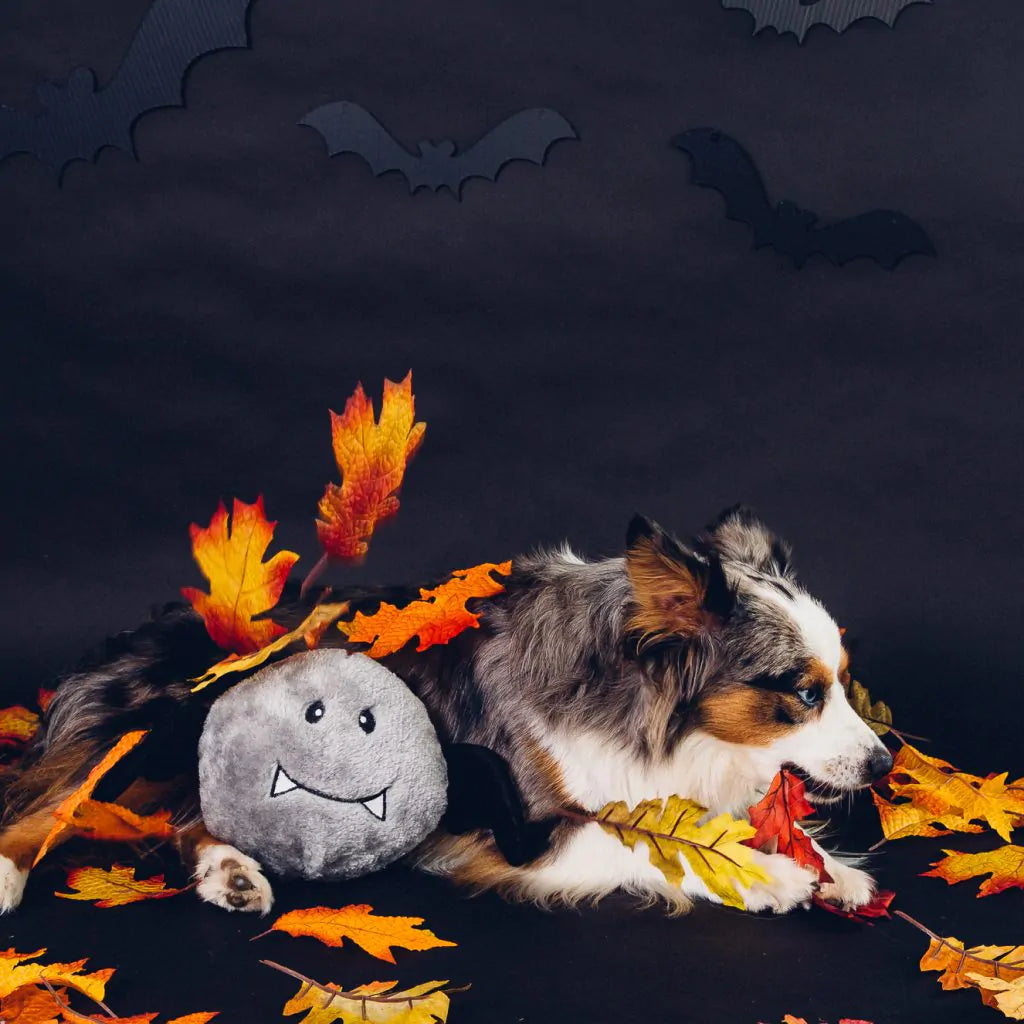 Halloween Brainey – Bat.
