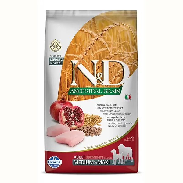 N & D Ancestral Grain Adult Med/Maxi Chicken