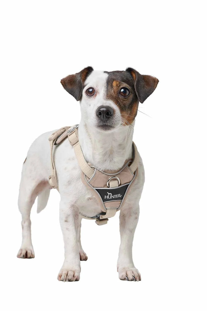 Hunter H-Harness