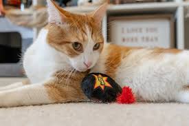 Feline Frenzy Killer Cat Toy Kitty-Boom