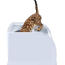 Imac Frida Litter Box Light Blue