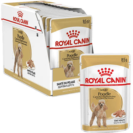 Royal Canin Poodle 12 pack pouches (12x85g)