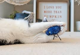 Feline Frenzy Halloween Creepy Critters Cat Toy