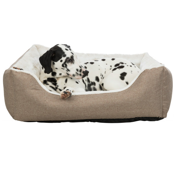 37289 Nelli Bed