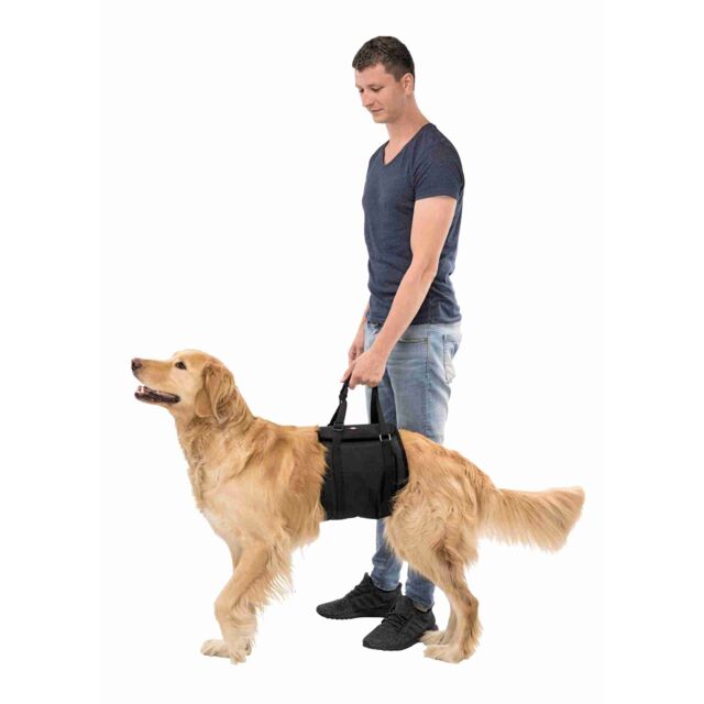 Lifting Aid