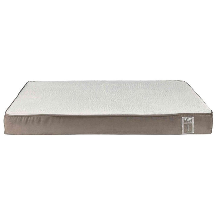 Best Of All Breeds Bed