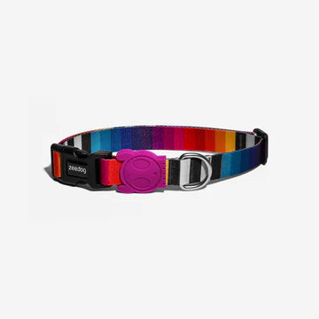 Prisma - Zeedog Dog Collar