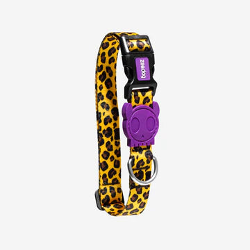 Honey - Zeedog Dog Collar