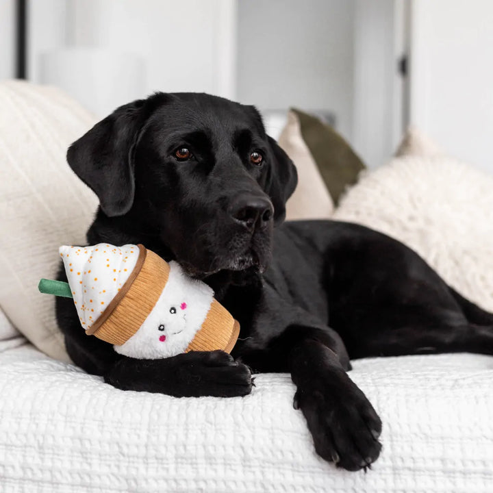 Zippy Paws - NomNomz - Puppaccino