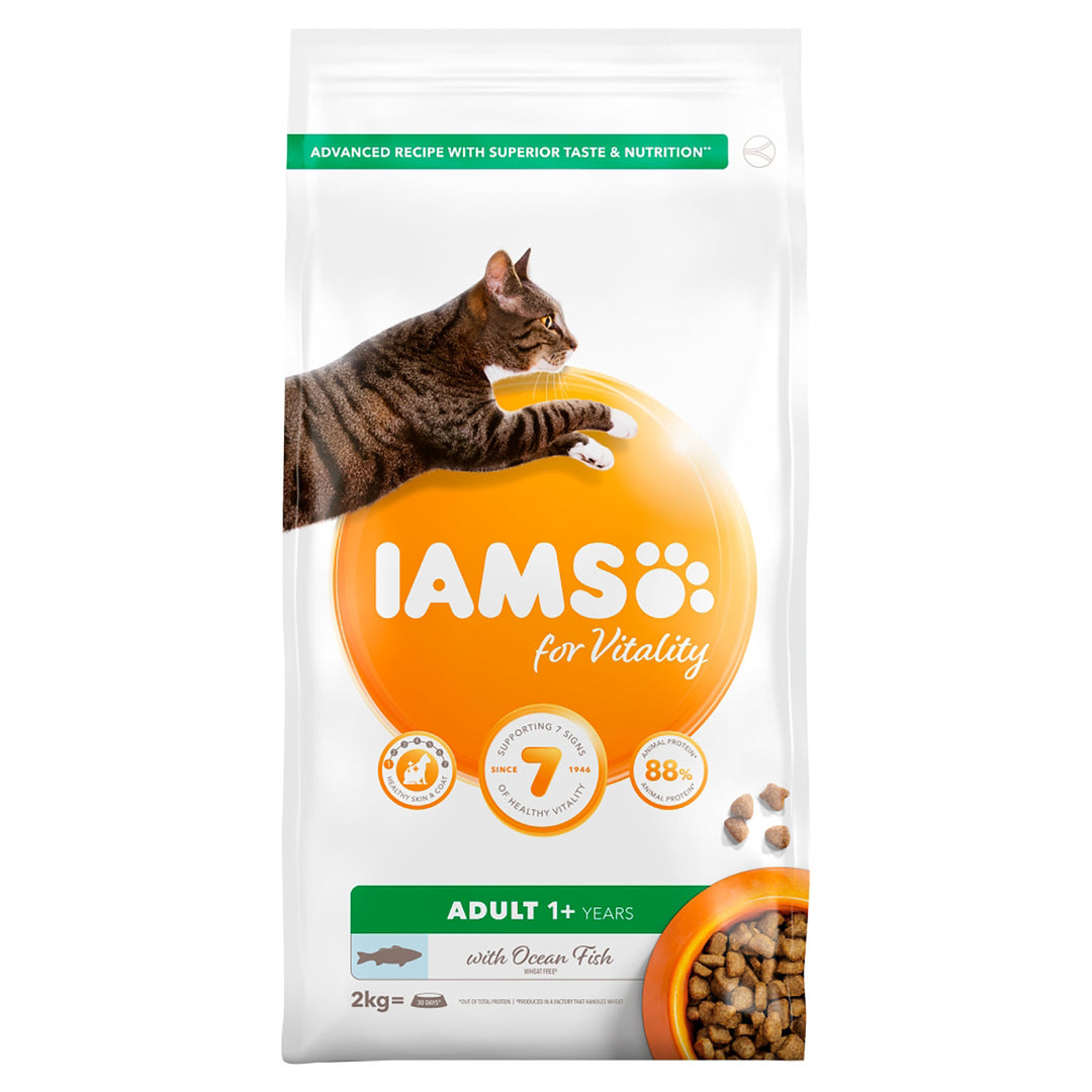 IAMS cat dry With Ocean Fish