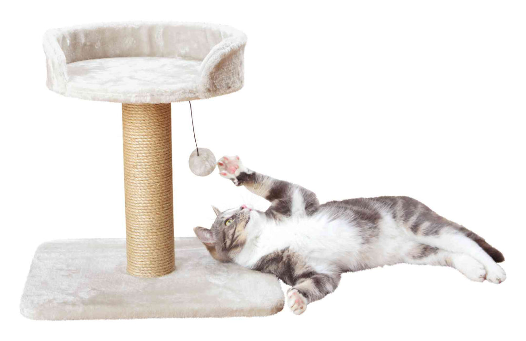 Mica Scratching post