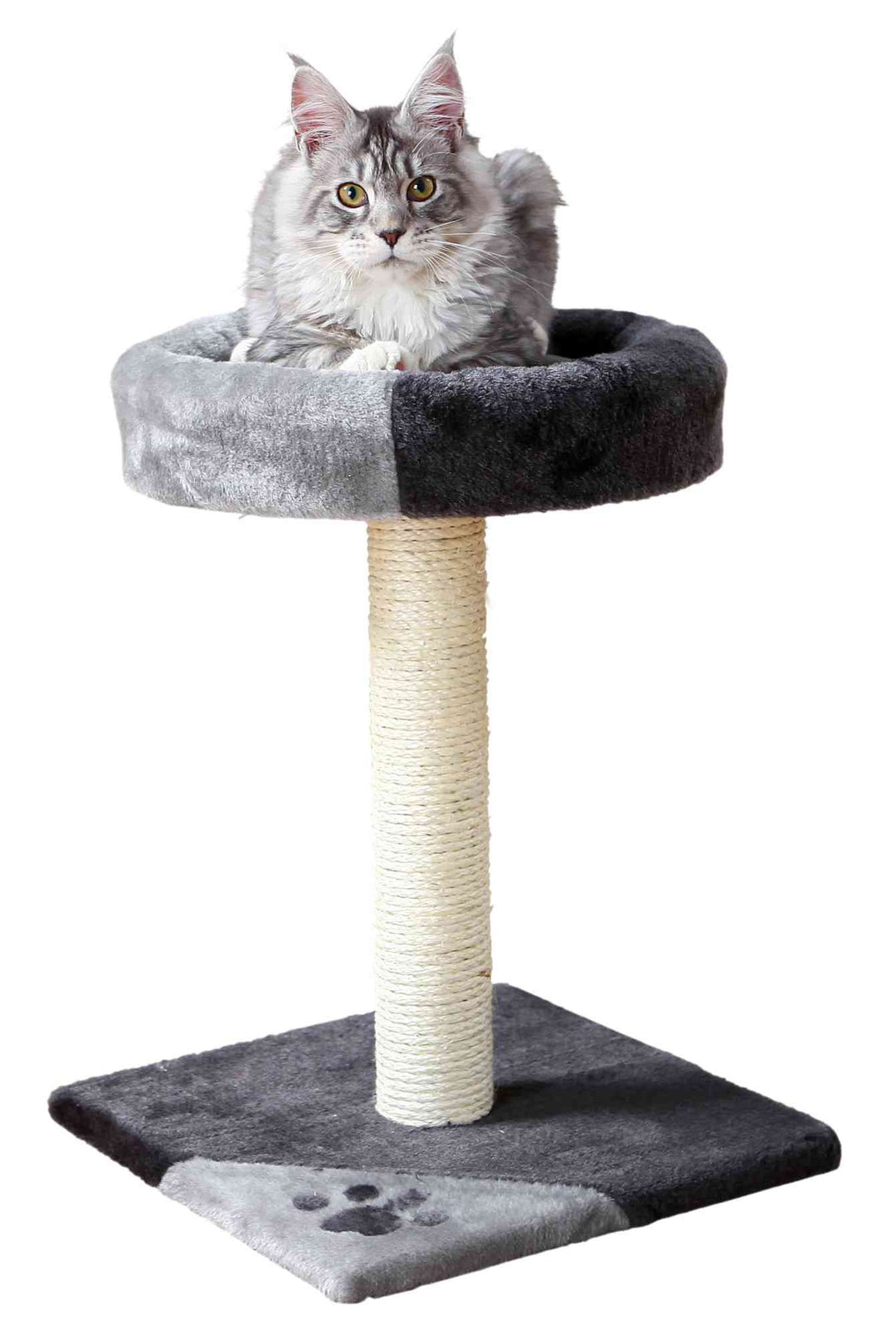 Tarifa Scratching Post