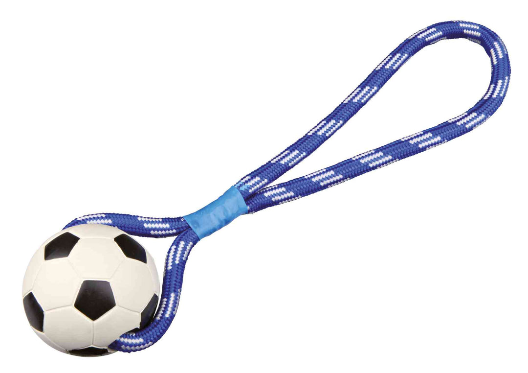 Soccer Ball on a rope