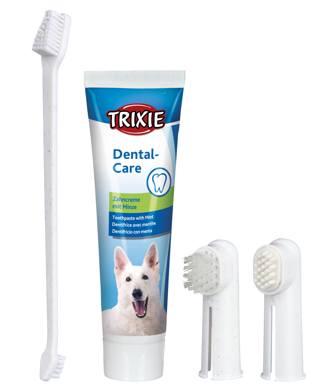 Dental Hygiene Set