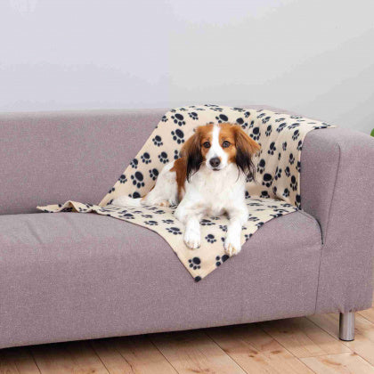 Beany Blanket