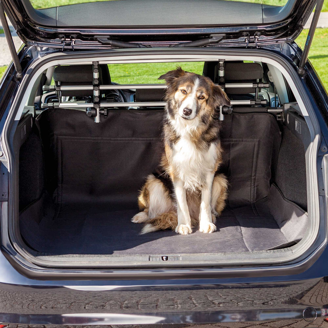 Car Boot Cover